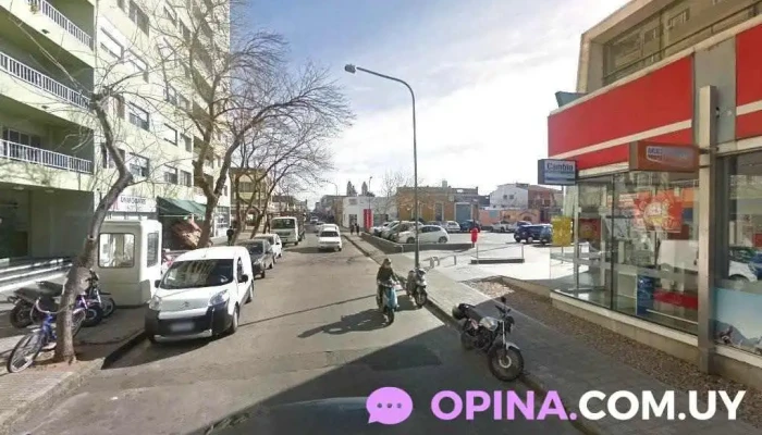 Green Apple's Papelería - Maldonado