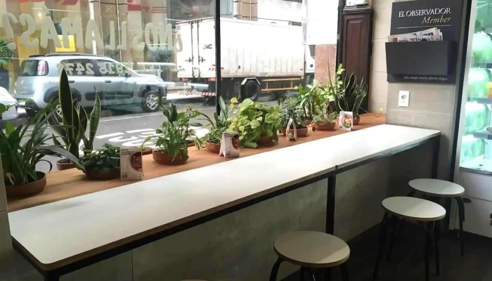 Green To Go -  Ambiente - Montevideo