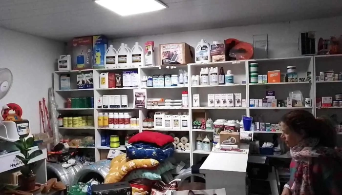 Greyhound Clínica veterinaria - 34200 Nico Pérez