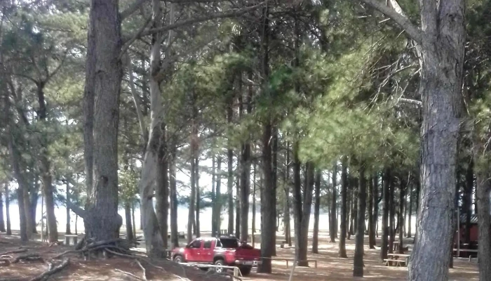 Grido Helado -  Comentario 4 - Tacuaremb&oacute;