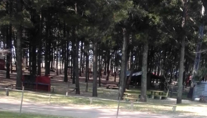 Grido Helado -  Comentario 5 - Tacuaremb&oacute;