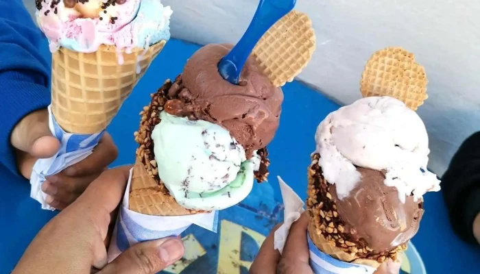 Grido Helado -  Comidas Y Bebidas - Montevideo