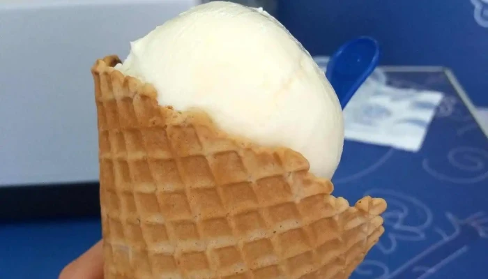 Grido Helado -  Comidas Y Bebidas - Rosario