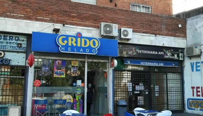 Grido Helado -  Todo - Montevideo