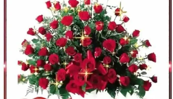 Grido Helado -  Videos - Tala