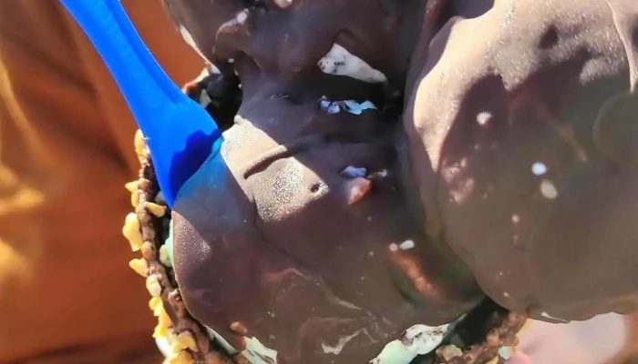 Grido -  Helado - Montevideo