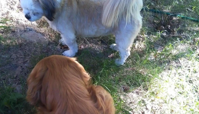 Grido Helados -  Comentario 6 - Paso de los Toros
