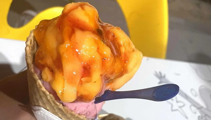 Grido Helados -  Comentario 7 - Paso de los Toros