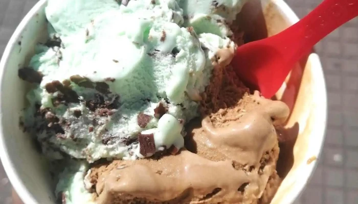 Grido Pando -  Helado - Pando