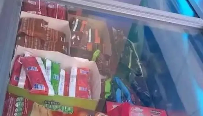 Grido Progreso -  Ambiente - Progreso