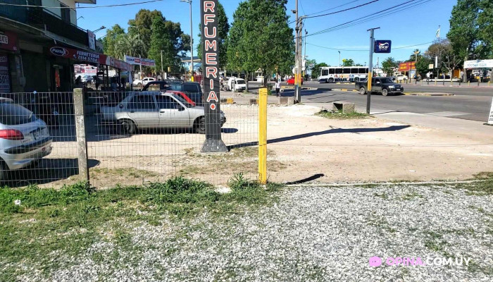 Grido -  Videos - Montevideo