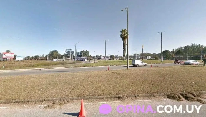 Grou Bosque - Ciudad De La Costa