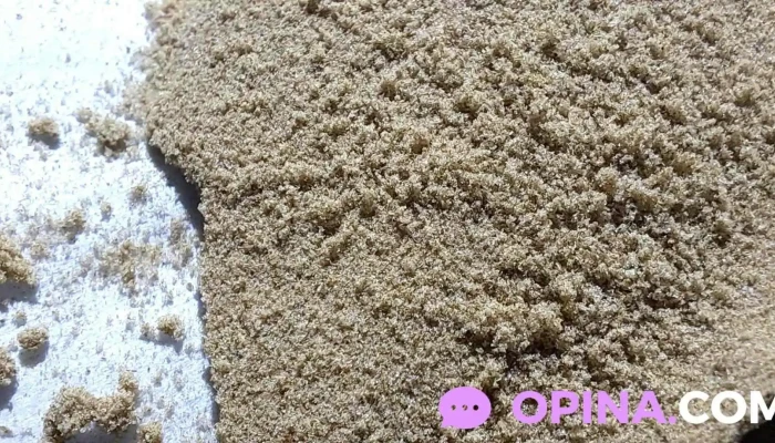 Growshop Colonia Del Sacramentosupermercado Del Cultivo Del Propietario - Col. del Sacramento