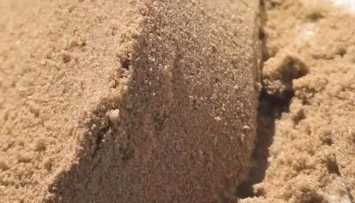 Growshop Colonia Del Sacramentosupermercado Del Cultivo Zona - Col. del Sacramento