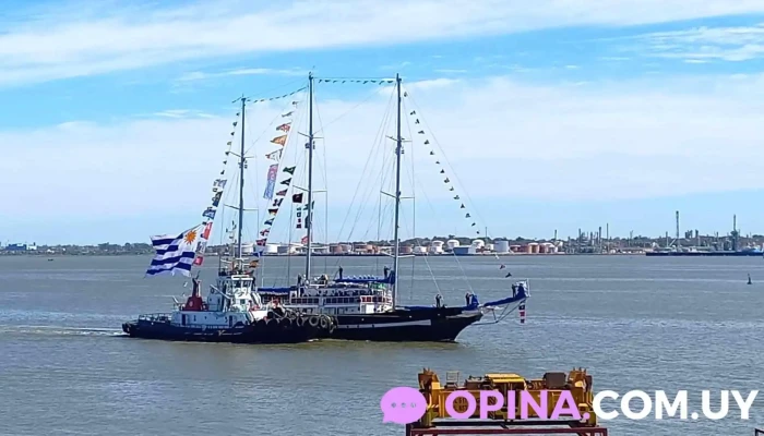 Grupo De Buceo Grubu De La Armada Nacional Videos - Montevideo