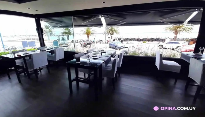 Guappa -  Videos - Punta del Este