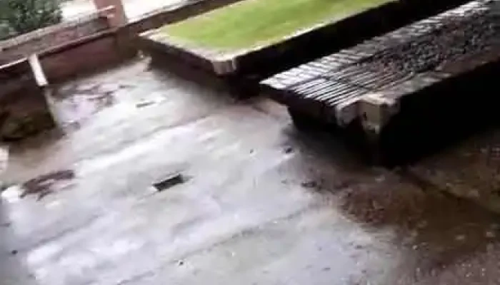 Guichon Videos - Guichón