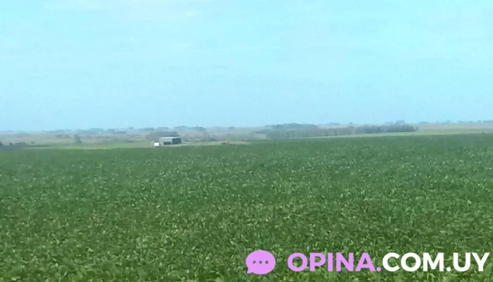 Guillermo Arrillaga -  Del Propietario - Florida