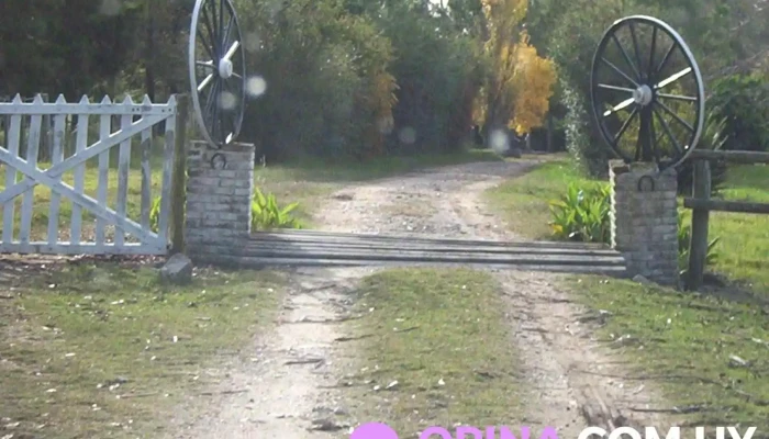 Guillermo Arrillaga -  Fotos - Florida