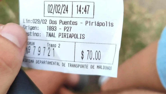 Guscapar -  Comentario 1 - Pan de Az&uacute;car