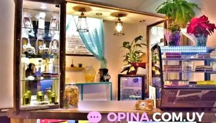 Hakuna Matata -  Ambiente - Maldonado