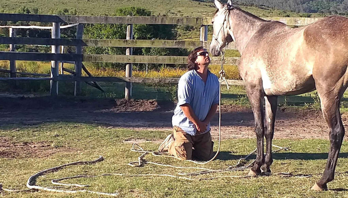 Haras San Francisco -  Opiniones - Piriápolis