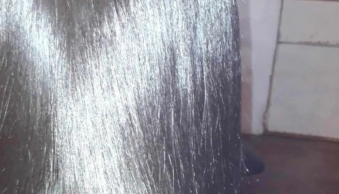 Hay De Todito -  Abierto Ahora - Ciudad de la Costa