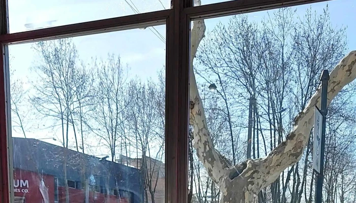 Heladeria Arco Iris Comentario 4 - Col. del Sacramento