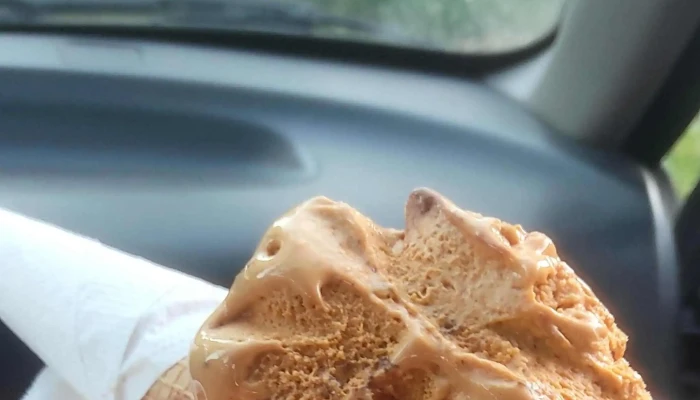 Heladeria Cafeteria Artesanal Mister Maquina Comentario 5 - Atlántida