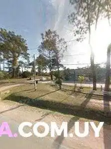 Heladeria Del Abuelo El Pinar Street View Y 360 - Ciudad de la Costa