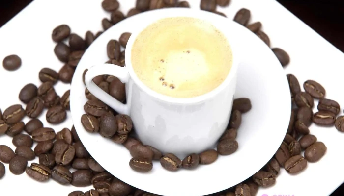 Heladeria Del Abuelo Malvin Cafe - Montevideo