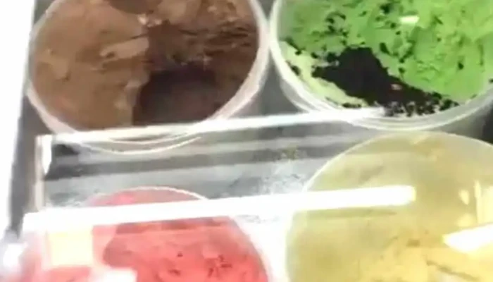 Heladeria La Goleta -  Helado - Ciudad del Plata