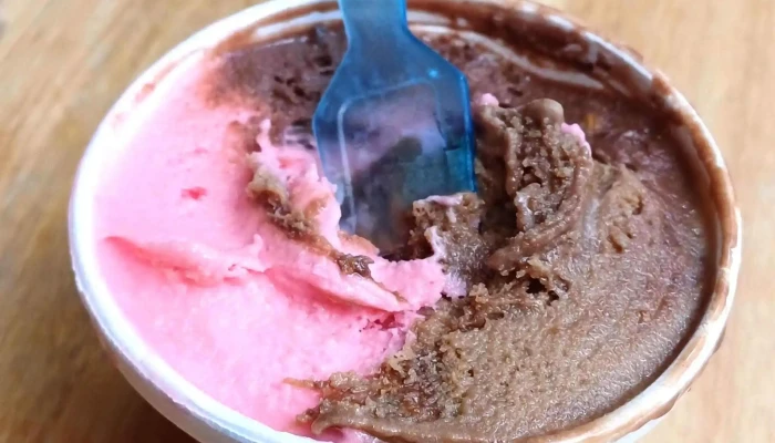 Heladeria Las Delicias Comentario 1 - Montevideo