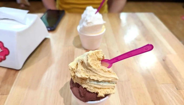 Heladeria Las Delicias Comidas Y Bebidas - Montevideo