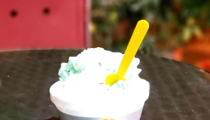 Heladeria Las Delicias Helado Italiano - Montevideo