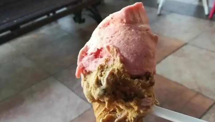 Heladeria Las Delicias Helado - Montevideo