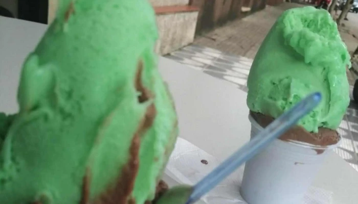 Heladeria Sudanfer -  Comentario 8 - Artigas