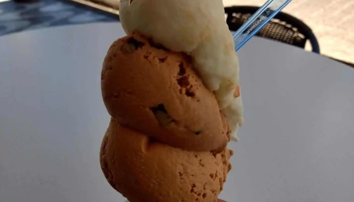 Heladeria Sudanfer -  Helado - Artigas