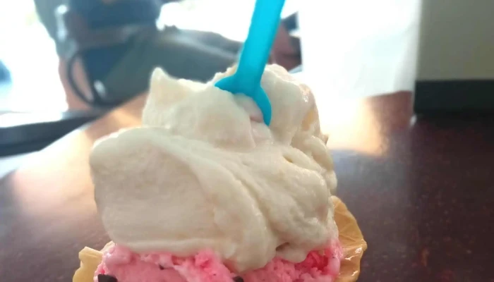 Heladeria Toppo Gigio Comentario 12 - Mercedes