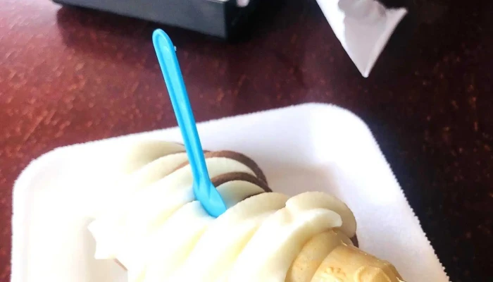 Heladeria Toppo Gigio Comentario 9 - Mercedes