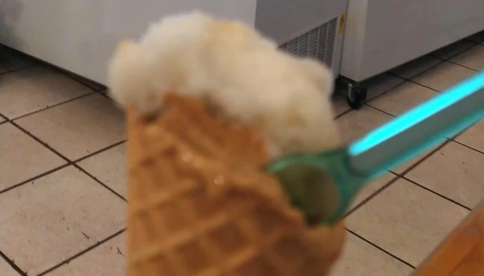 Heladeria Y Cafeteria Helarte Comentario 7 - Paso de los Toros