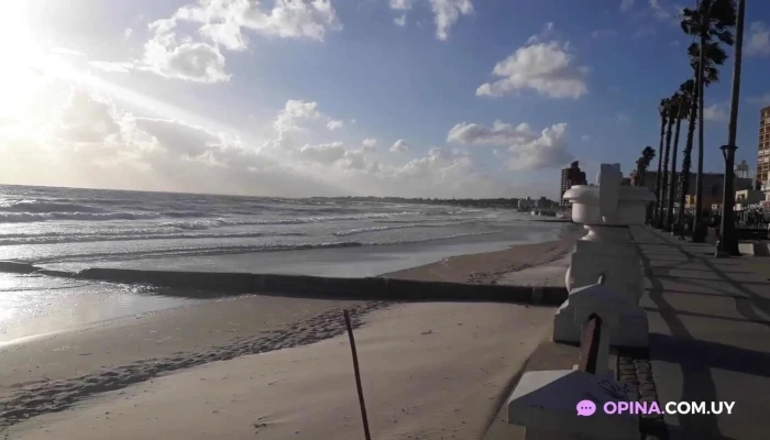 Heladeria Y Cafeteria Mare Blu -  Videos - Piriápolis