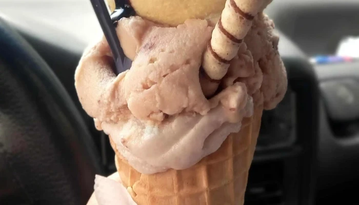 Helados Martinez Comentario 6 - Rivera