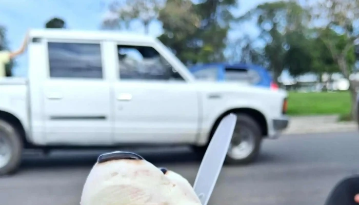 Helados Papito -  Comentario 4 - Young