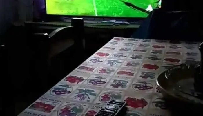 High Food -  Videos - Maldonado