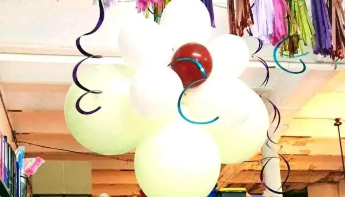 Hiloplast Srl Del Propietario - Montevideo