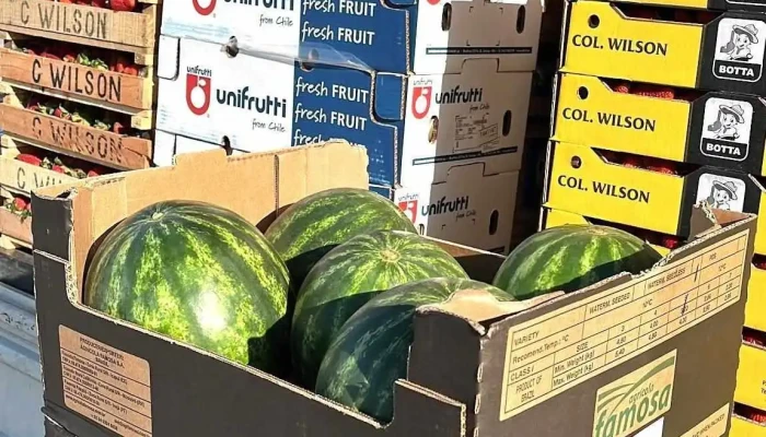 Holu Mercado de Fruts y Hortalizas - Departamento De Canelones