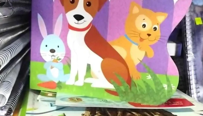 Hope Papeleria Opiniones - Paysandú