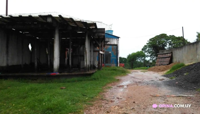 Hospedaje La Posada -  Todas - Vichadero