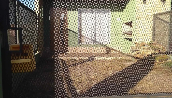 Hospedaje Vicenzo -  Todas - Melo